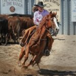 Barové dveře western cena – Stylový vstup do westernové atmosféry