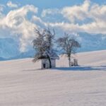 Jak odhlučnit vchodové dveře do bytu: Bezpečnost a klid