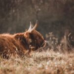 Jak se poznají levé a pravé dveře – Zjistěte jednoduše