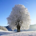 Vstupní dveře do bytu cena – První dojem z domova