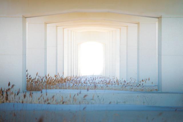 7. Prevence a údržba: Jak si udržet dveře v dobrém stavu a předejít možným problémům