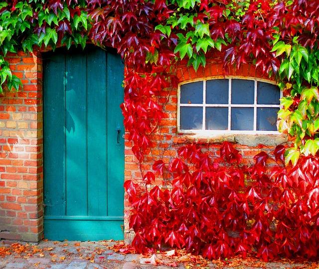 Jakou roli hraje barva dveří ve vašem domě