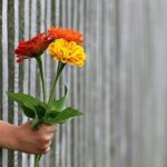 Dárek k narozeninám pro 8letého klika – Originální tipy na dárky pro děti