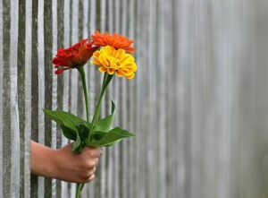 Dárek k narozeninám pro 8letého klika – Originální tipy na dárky pro děti