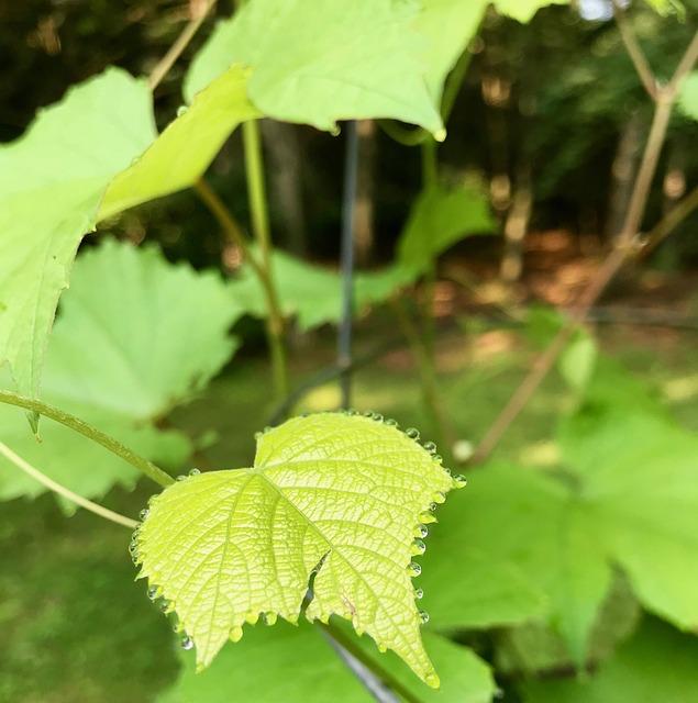 7. Důležité ⁤faktory, na které‍ si dát pozor při ‍vyhodnocování cenových nabídek