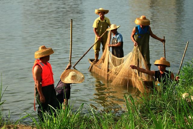 Rady pro výběr Klika CPP pojištění